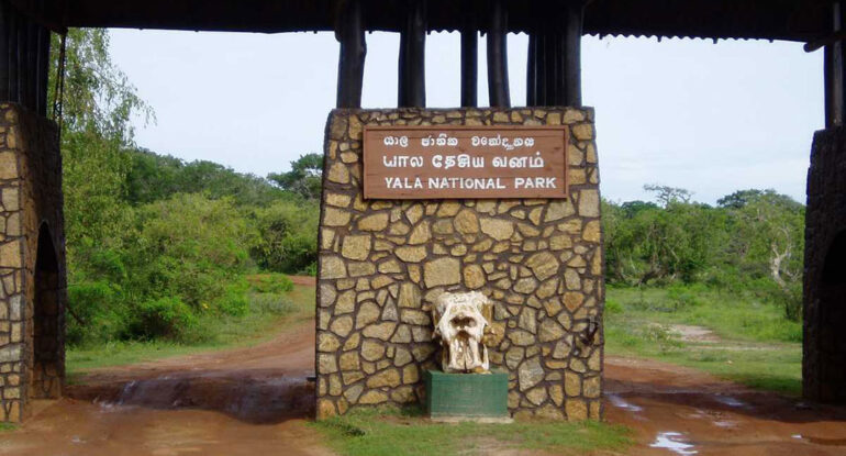 Yala-National-Park-770×415